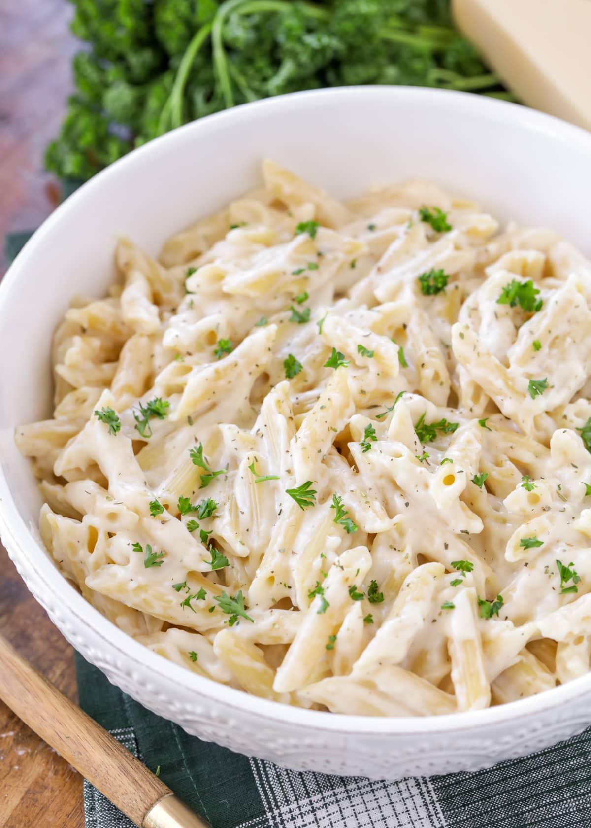White Sauce Vegetable Pasta